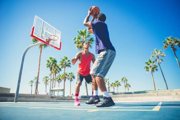 Joyville Virar amenities Half Basketball Court